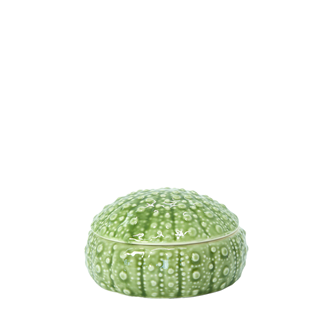 Kina Bowls