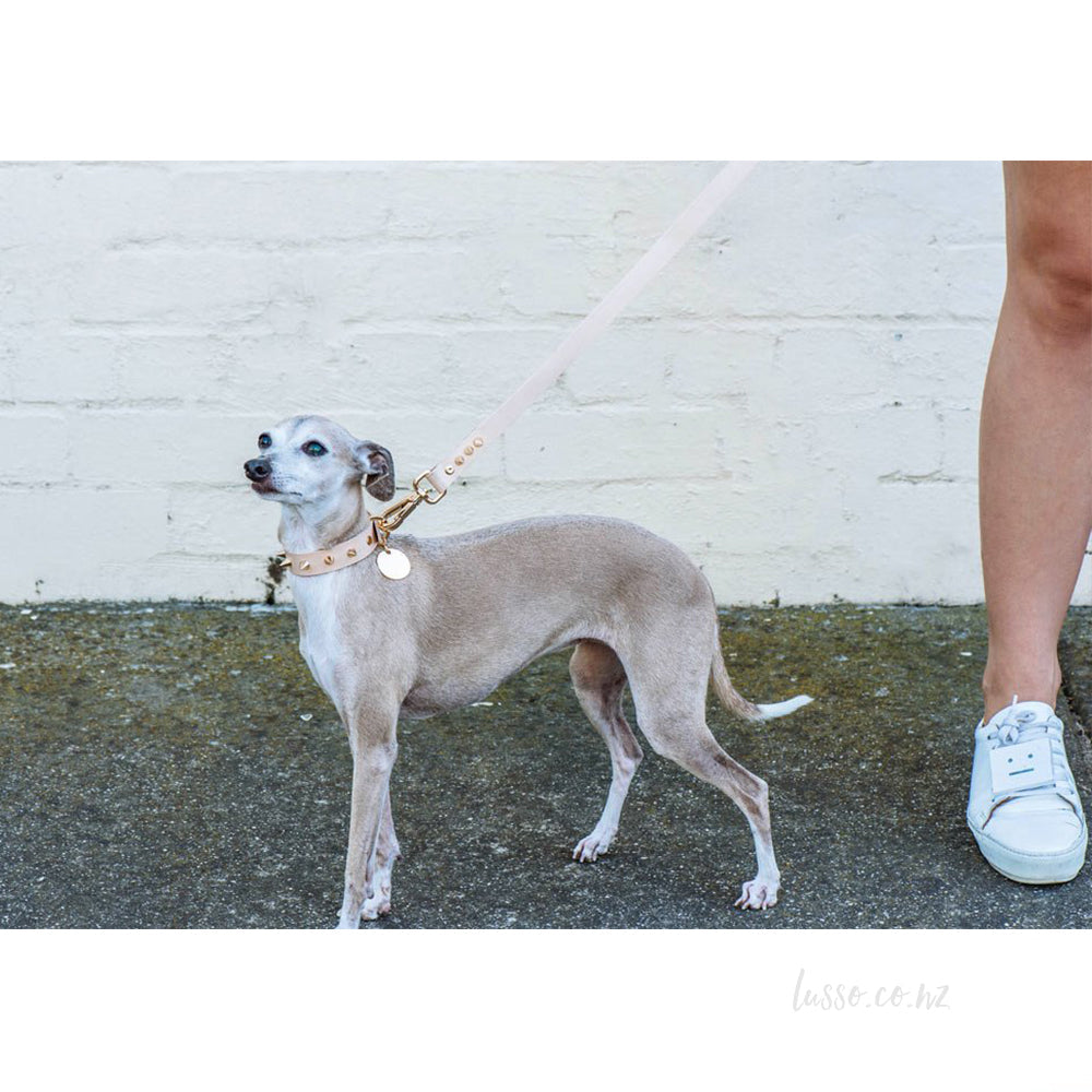 Boutique Pet accessories NZ