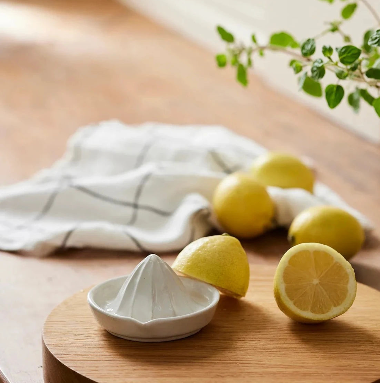 Juicer | Ceramic