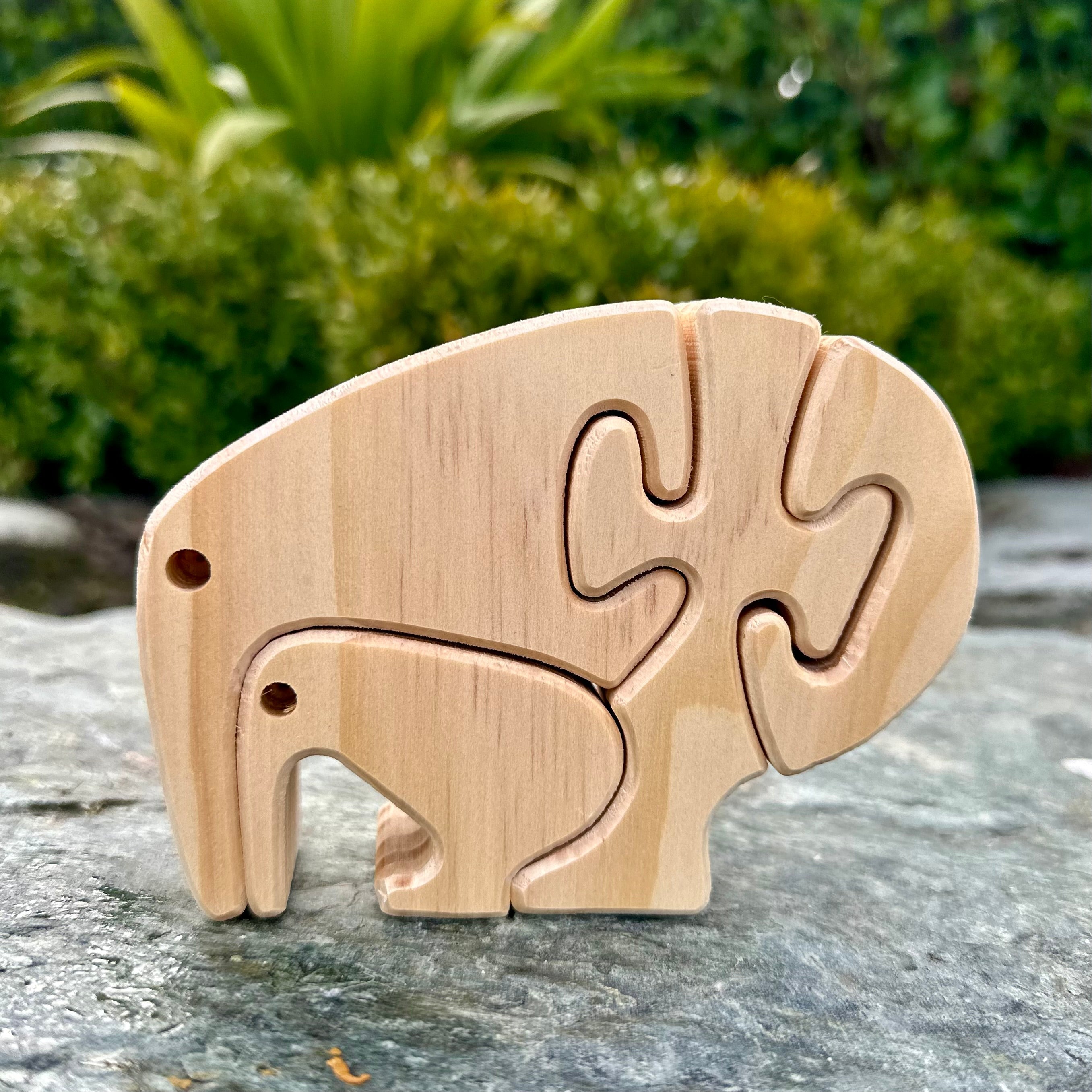 Kiwi & Sheep Puzzle (2 options)