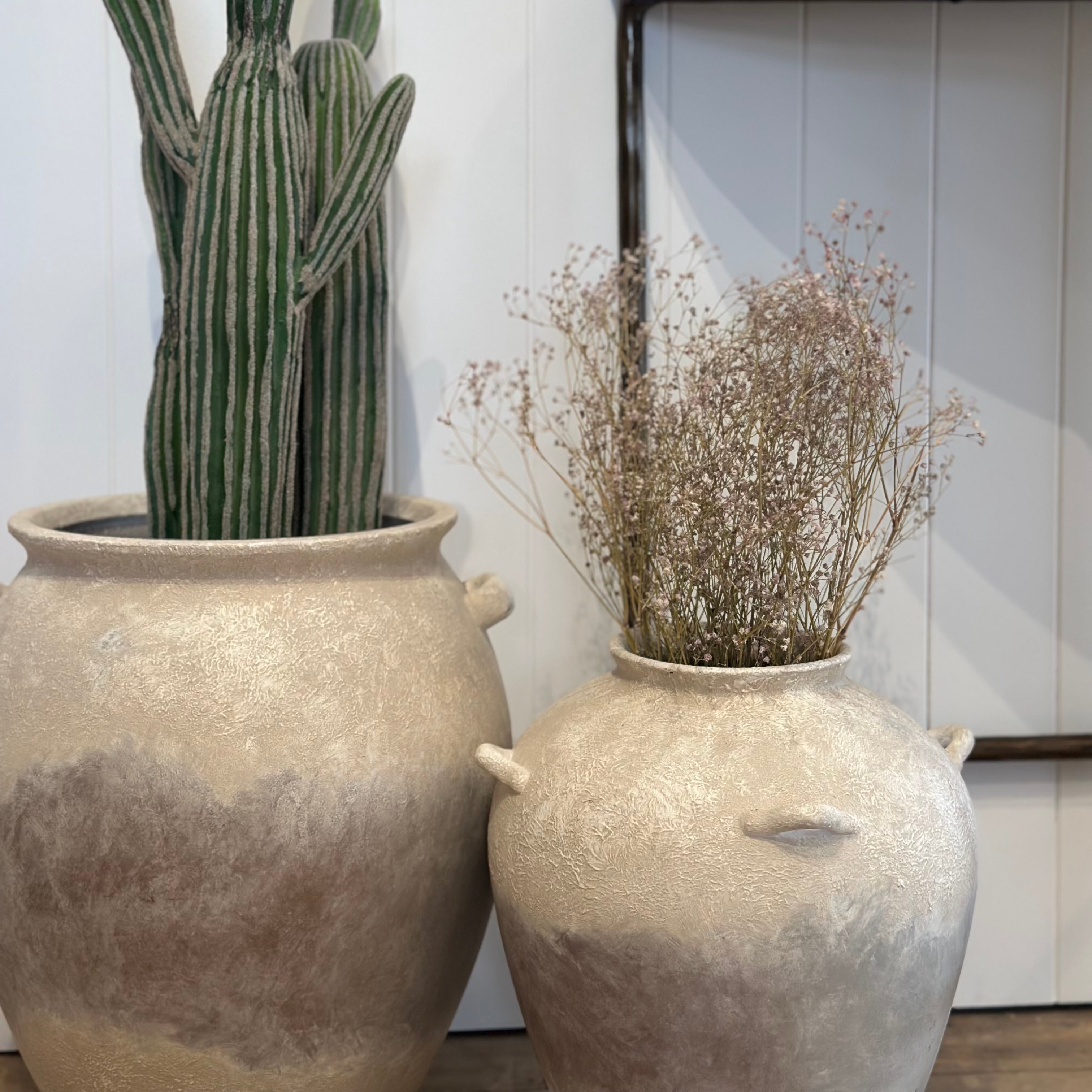 Two potted plants, one with a cactus and the other with dried flowers, against a white wall.