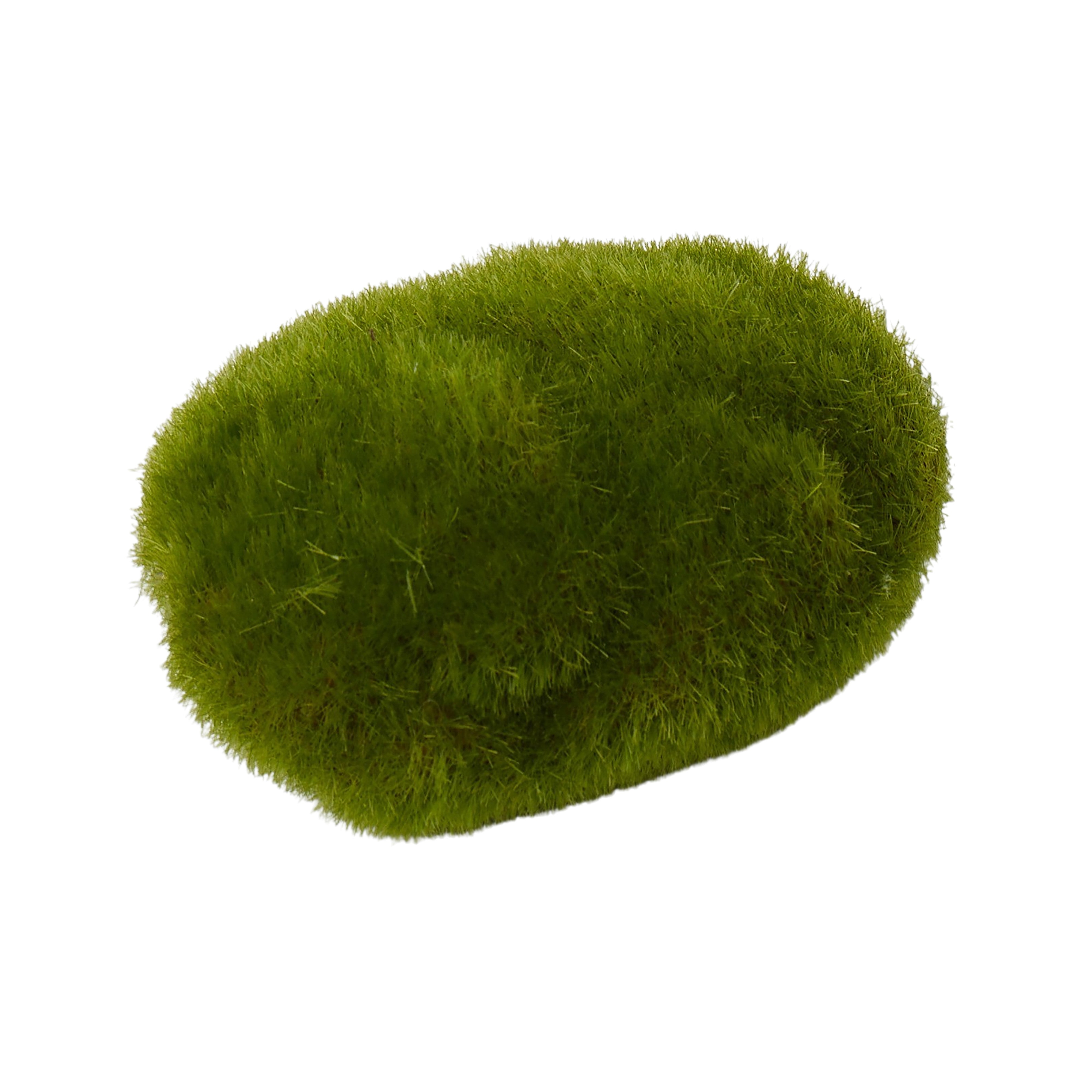 Decorative Moss | Ball or Stone