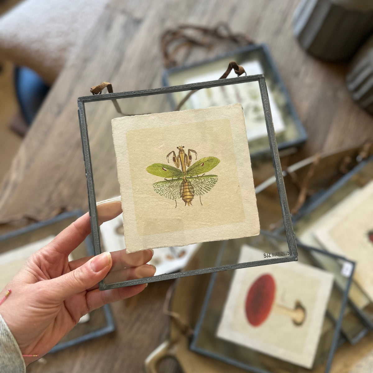 Art Print | Vintage Flora & Fauna Prints 5" x 5"