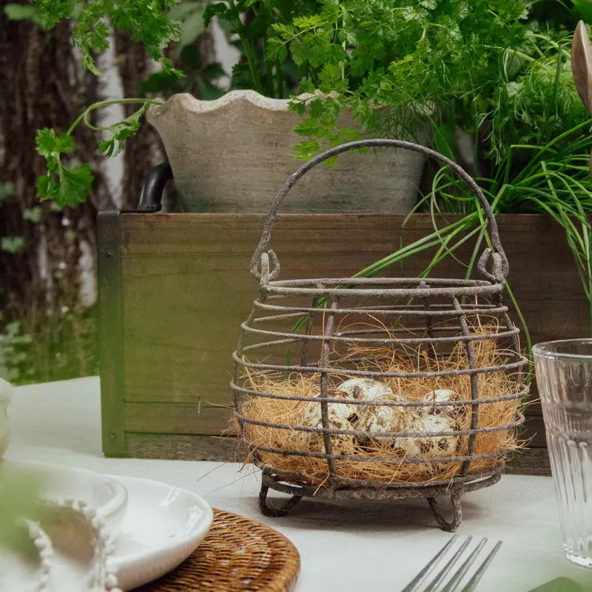 Basket | Wire Egg