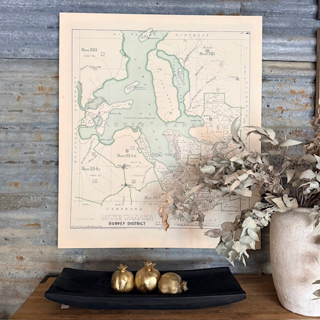 Wanaka Survey Map