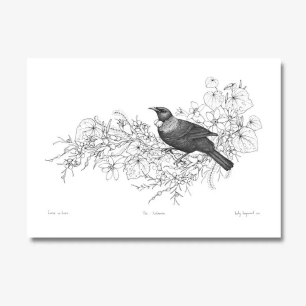 picture of a native new Zealand Tui bird in black and white
