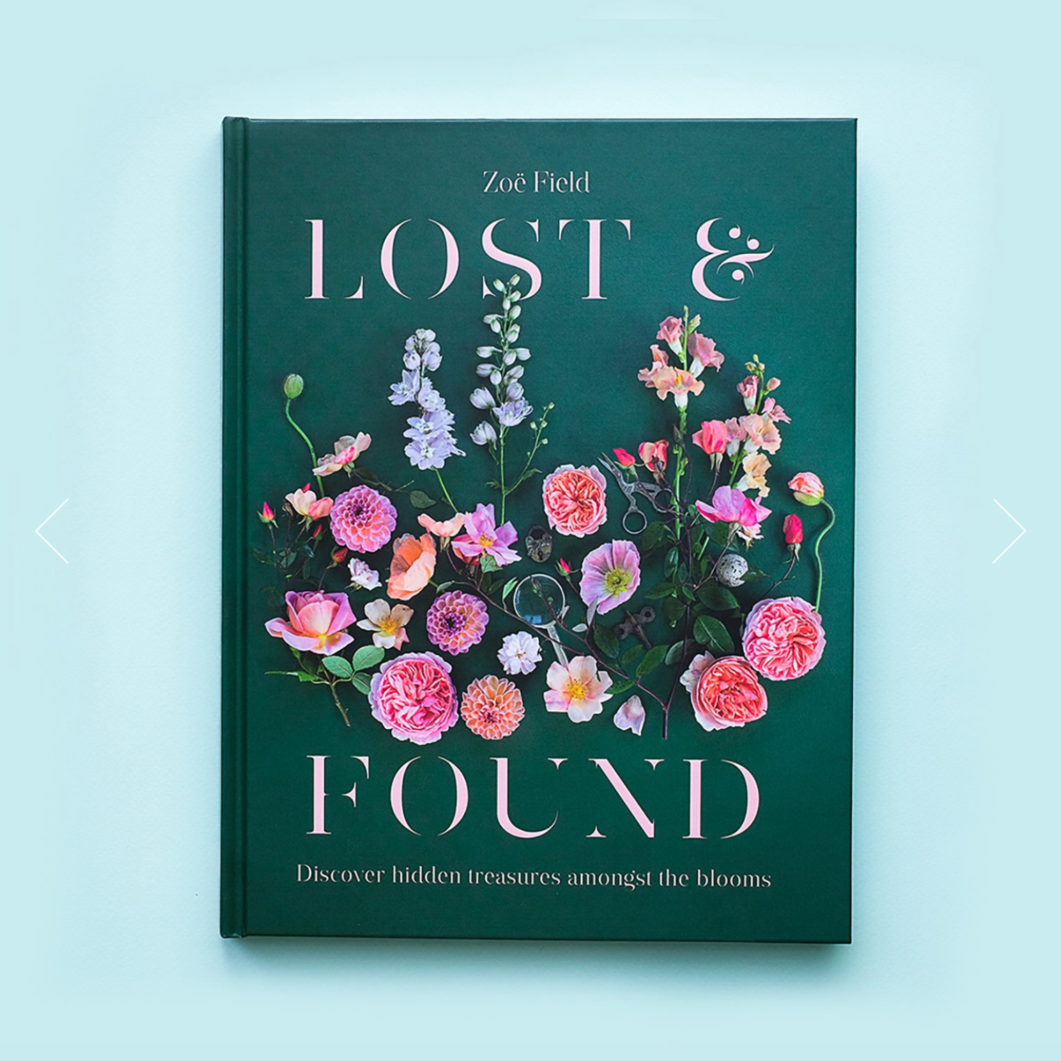 Book | Lost & Found