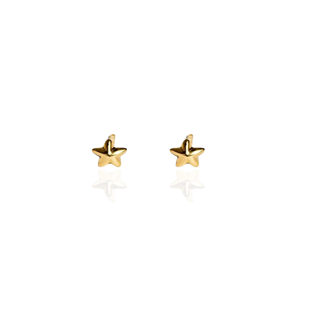 Earrings | Puffy Star Stud