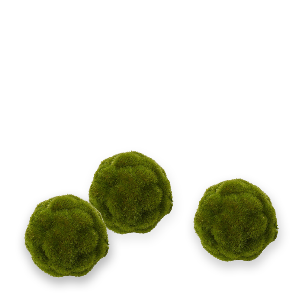 Decorative Moss | Ball or Stone