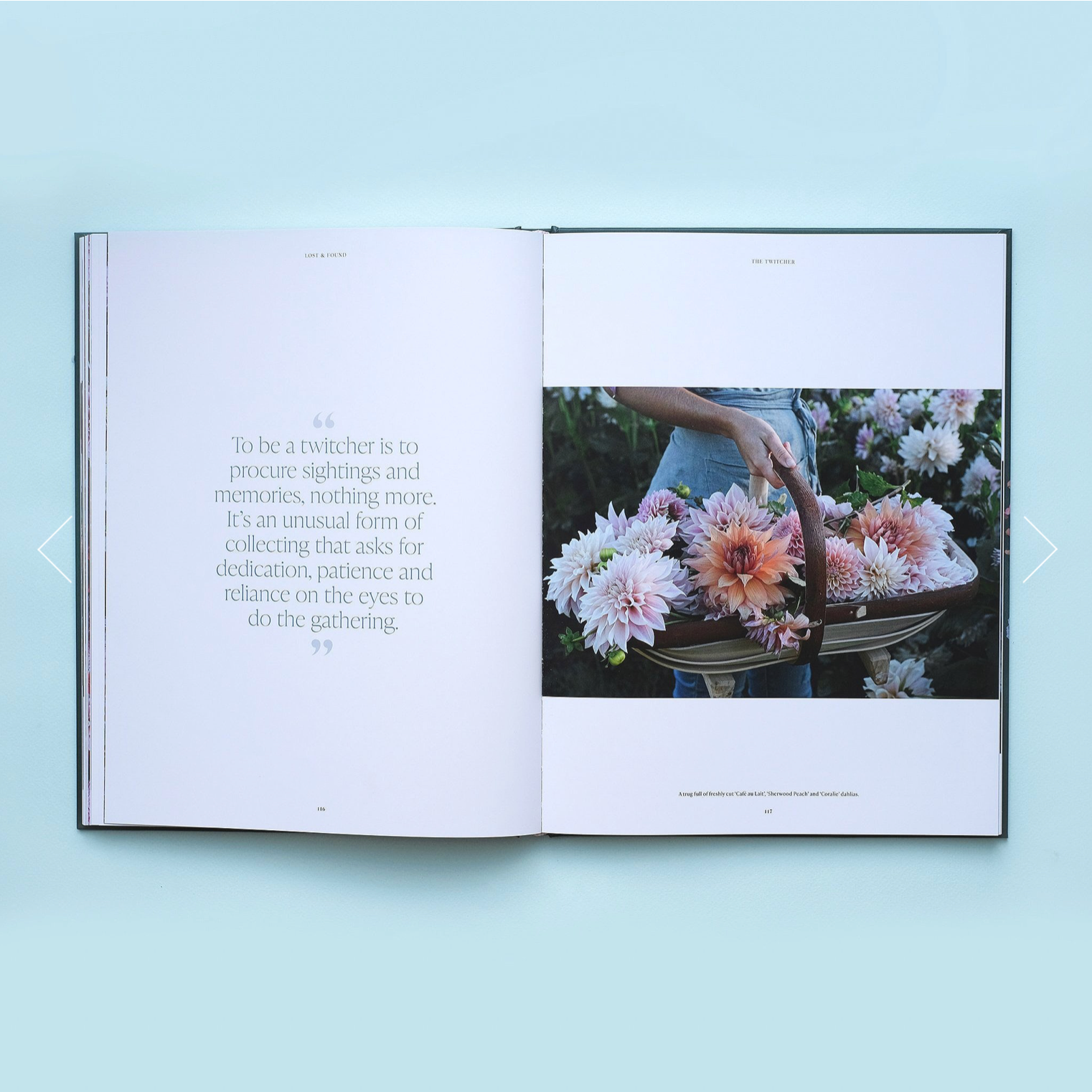 Book | Lost & Found
