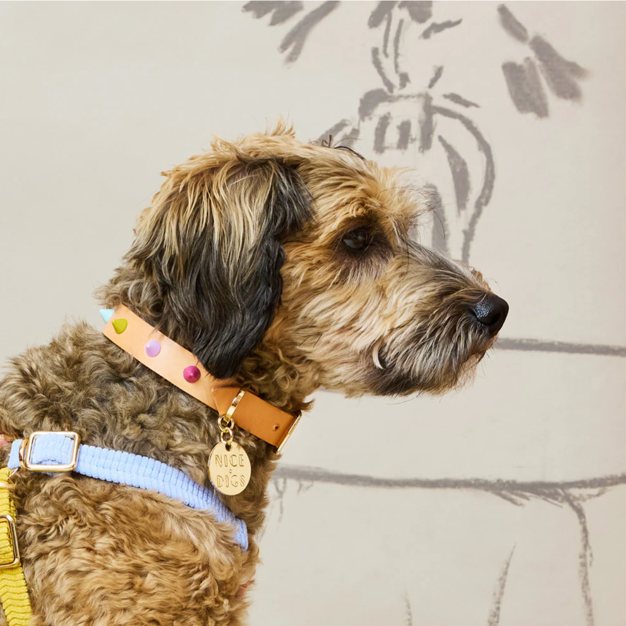 Spike Leather Collar | Spritz