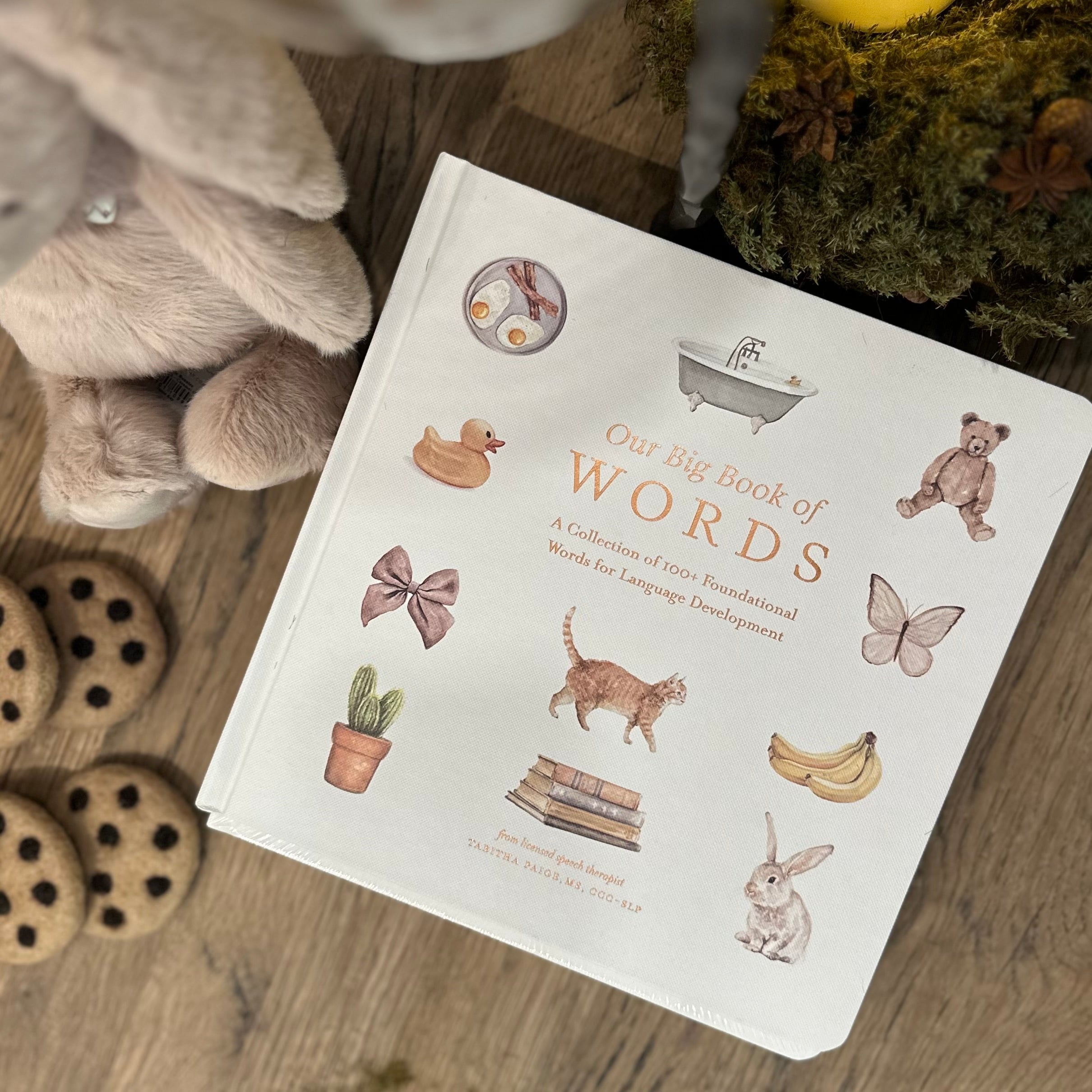 Book | Our Big Book Of Words
