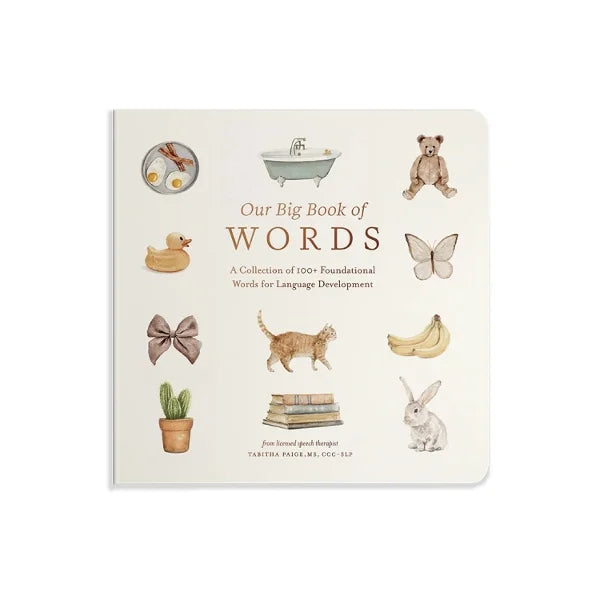 Children's book titled 'Our Big Book of Words' with illustrations on a white background