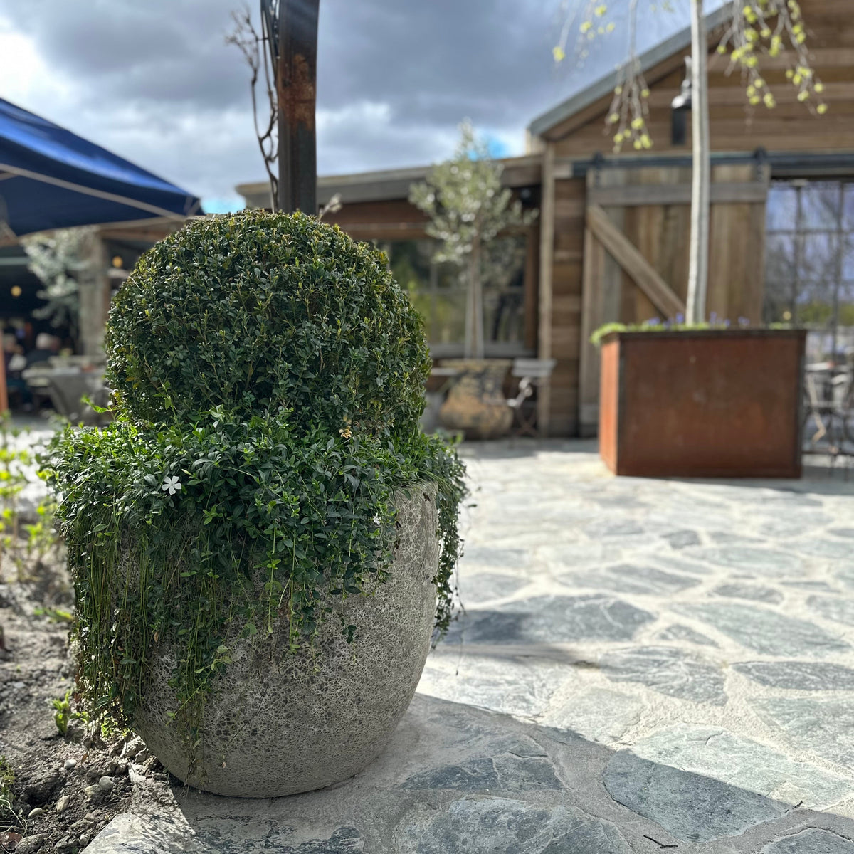 Outdoor Pot | Lava Grey Medium
