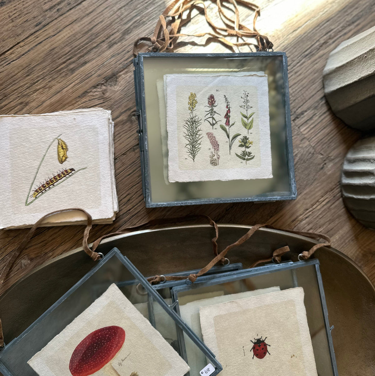 Art Print | Vintage Flora & Fauna Prints 5" x 5"