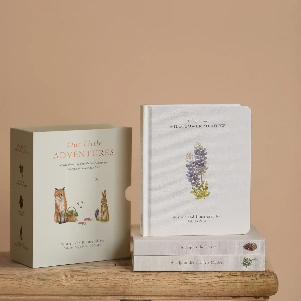 A children's book set displayed on a rustic wooden surface against a warm beige background. The set includes a hardcover book titled 'A Trip to the Wildflower Meadow' standing upright, a matching book titled 'A Trip to the Farmer's Market' resting on top of it, and a box titled 'Our Little Adventures' standing to the left.
