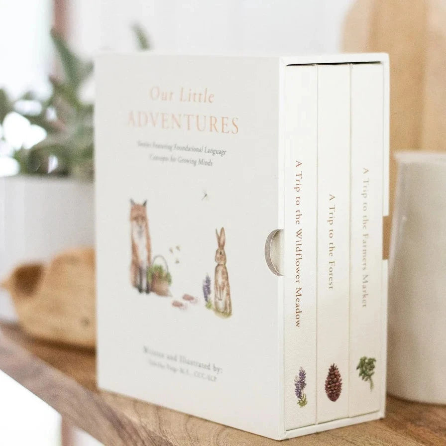 Two books titled 'The Little Adventures' on a wooden surface with decorative items.