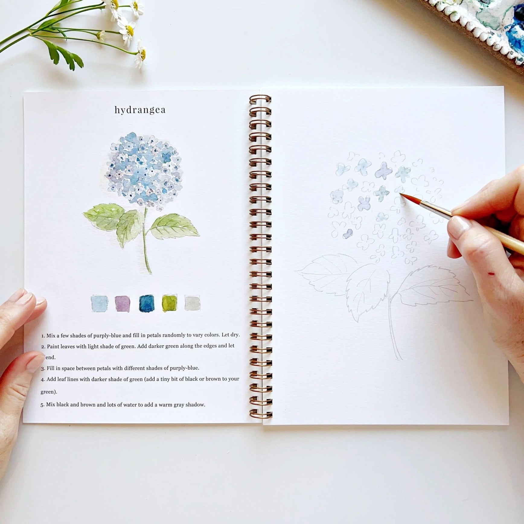 Person coloring a hydrangea flower in a coloring book with a pen.