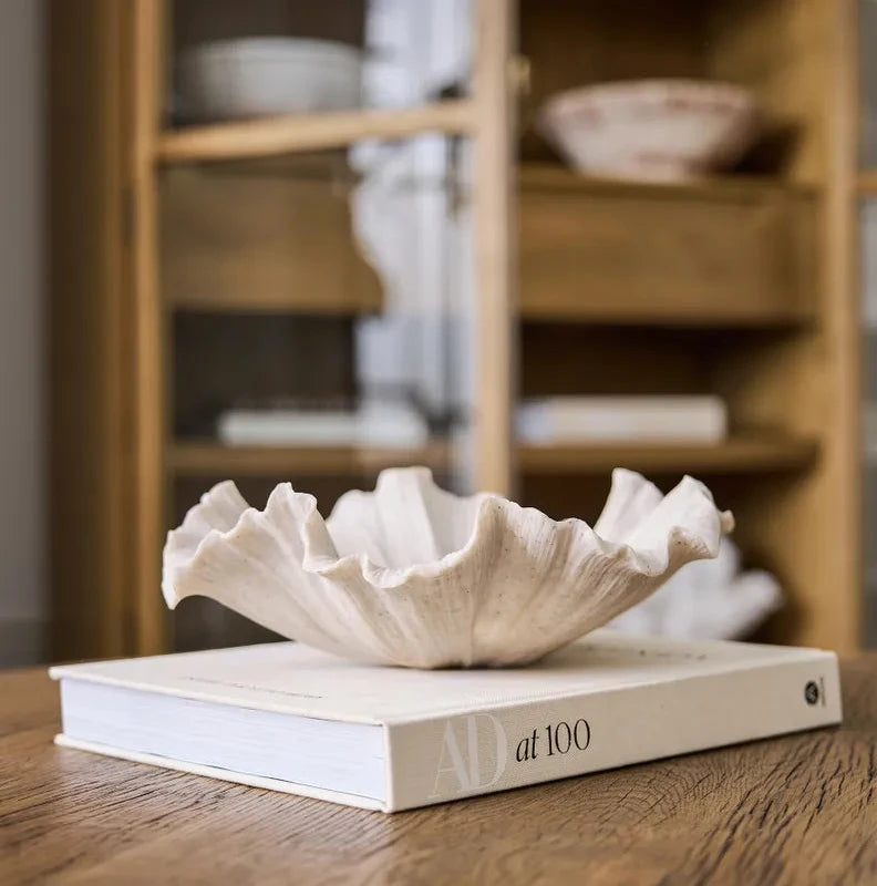 Decorative shell on a book with a blurred background of shelves.