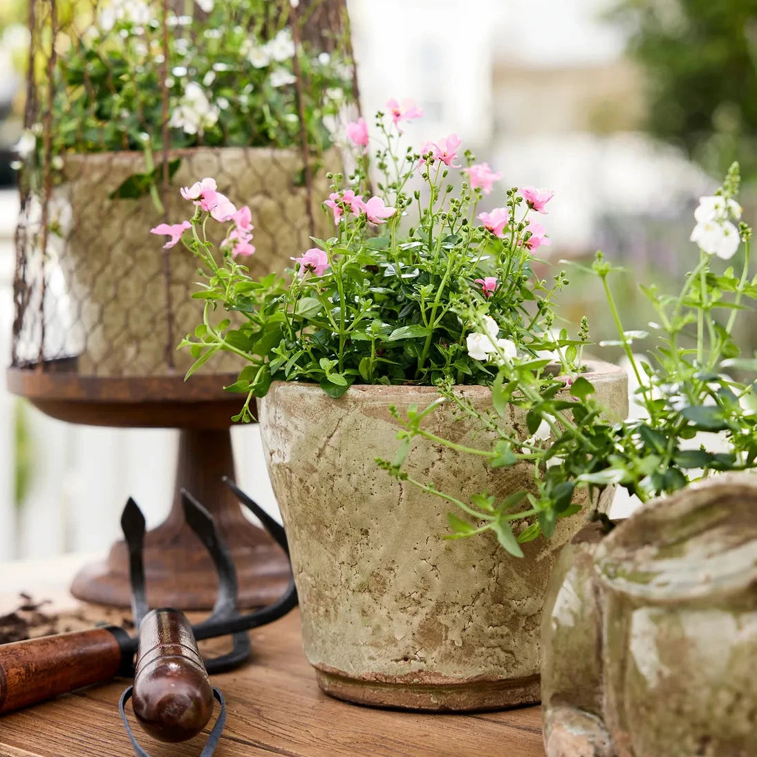 A rustic beige textured ceramic planter filled with green foliage and pink and white flowers, displayed on a wooden table alongside gardening tools and a glass jar.