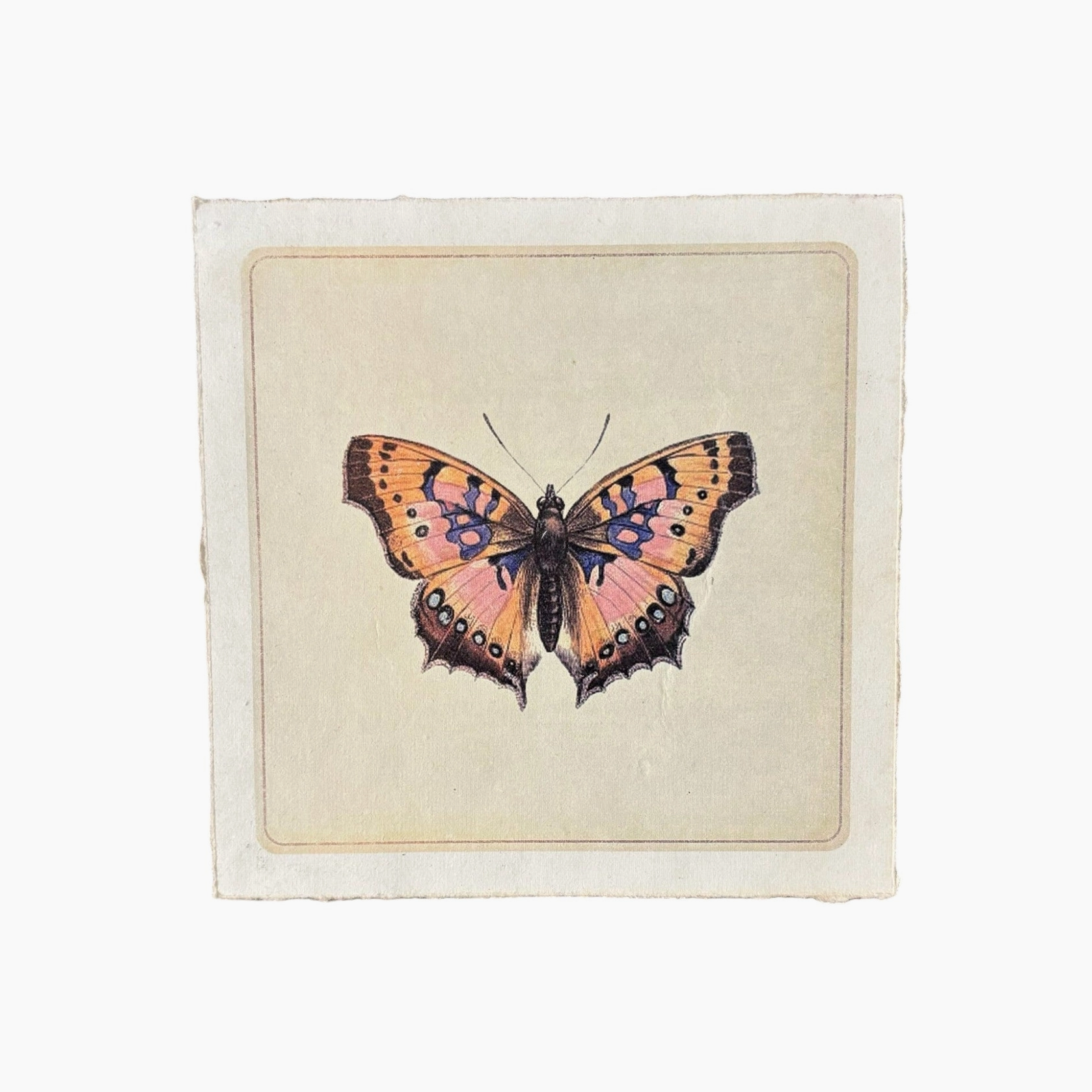 Butterfly illustration art print on a textured beige background