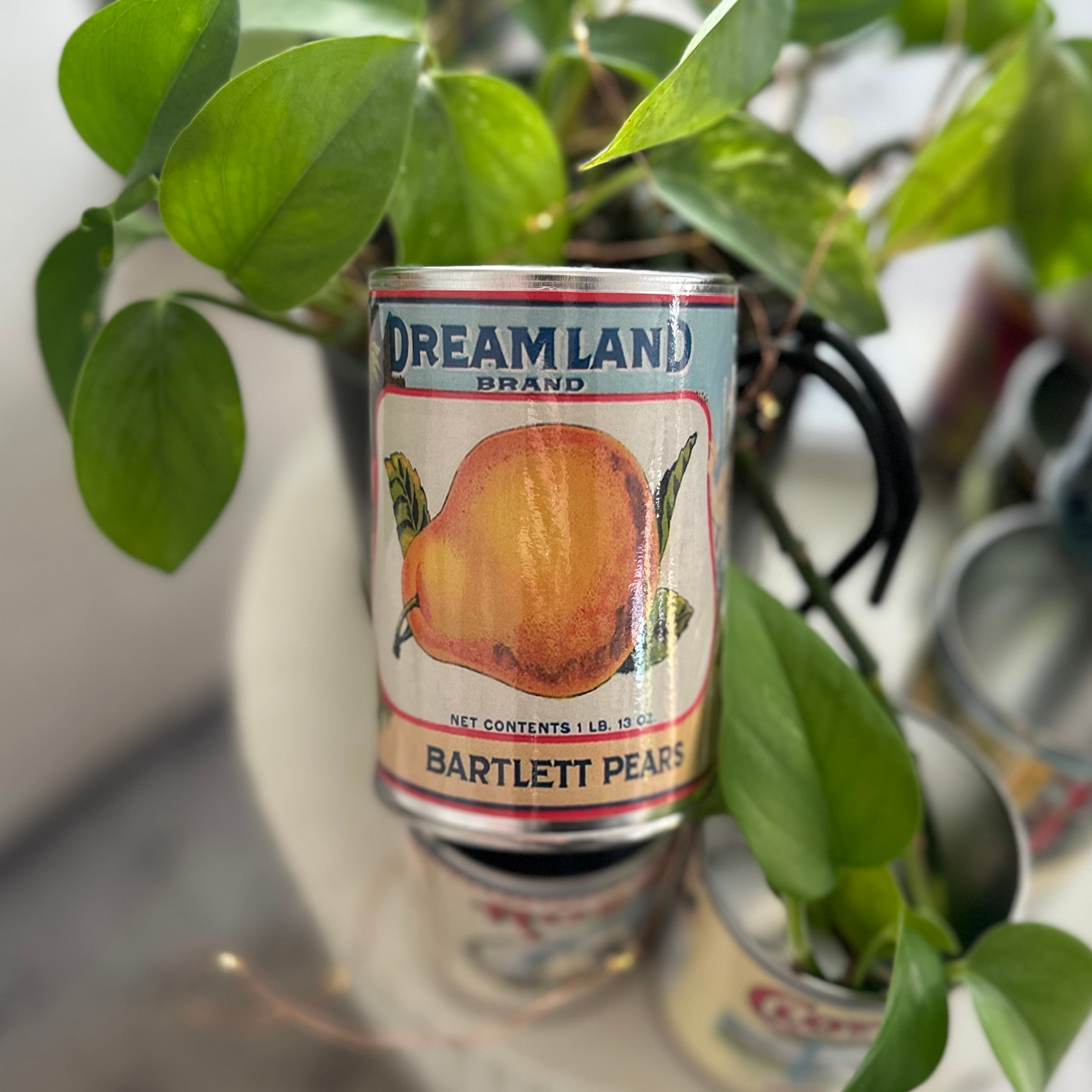 Cans | Vintage Look Storage