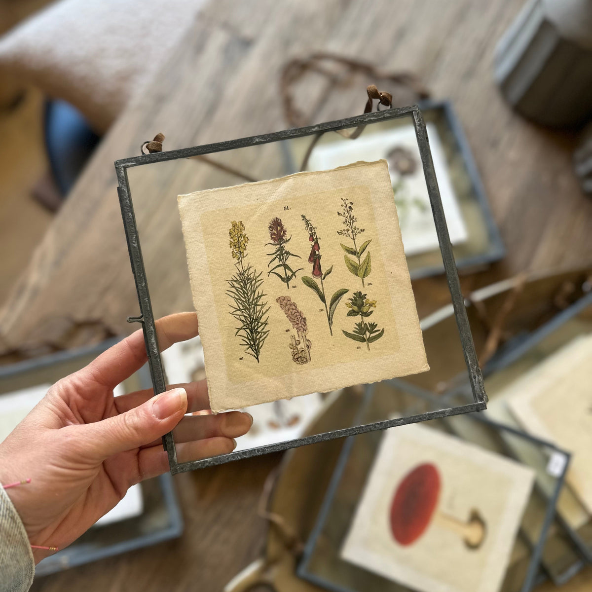 Art Print | Vintage Flora & Fauna Prints 5" x 5"