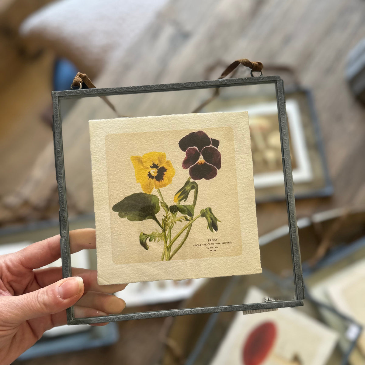 Art Print | Vintage Flora & Fauna Prints 5" x 5"