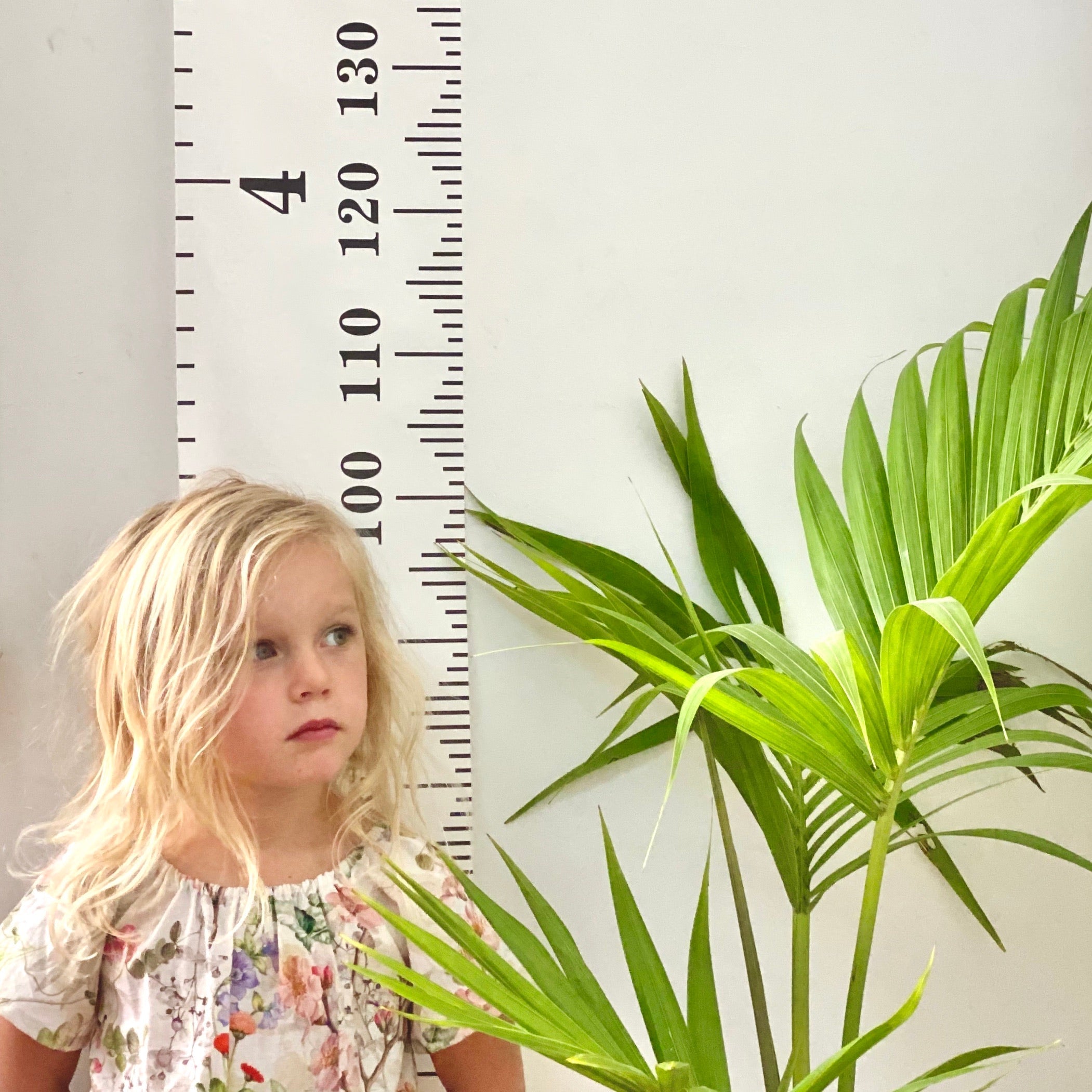 Canvas Height Chart