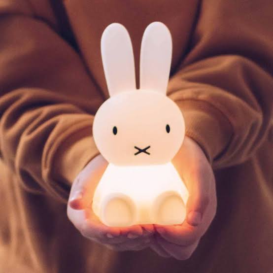 Miffy | Bundle of Light